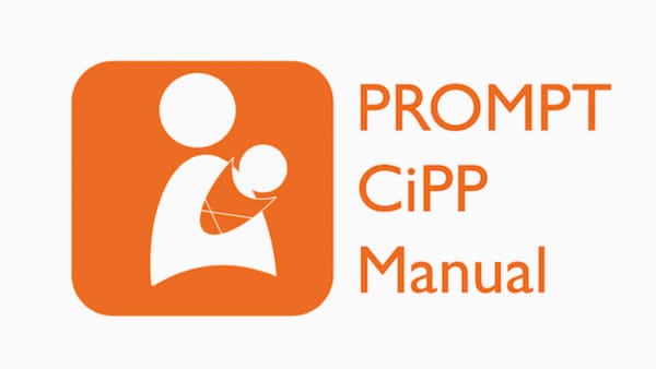 CiPP Manual