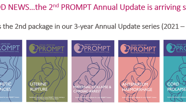 PROMPT 2nd Annual Update package (2022)